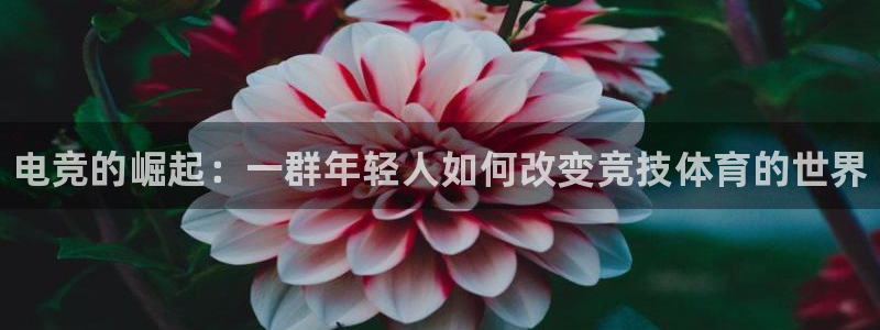 乐竞电竞官方下载