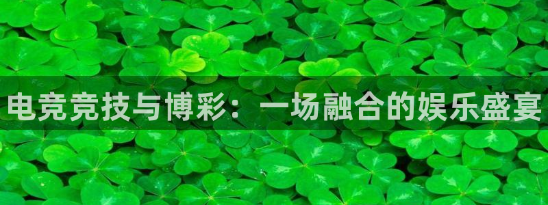 乐竞电竞维护多久