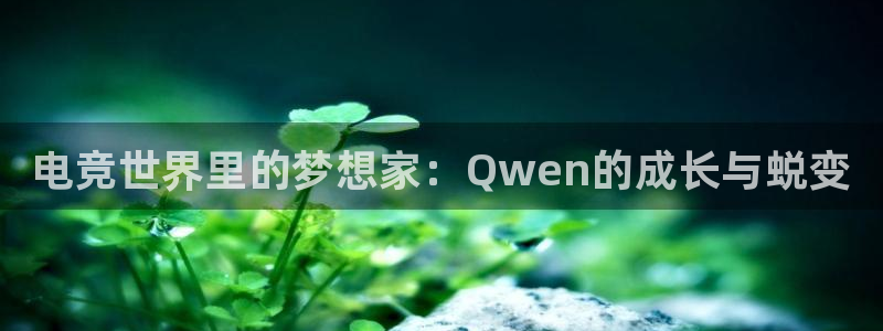乐竞电竞平台官网：电竞世界里的梦想家：Q