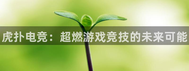 乐竞电竞可以yb33丶me