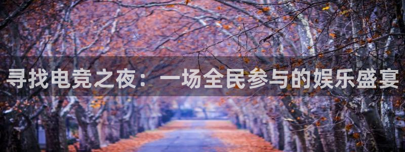 乐竞电竞馆加盟：寻找电竞之夜：一场全民参