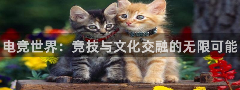 乐竞电竞竞猜app下载