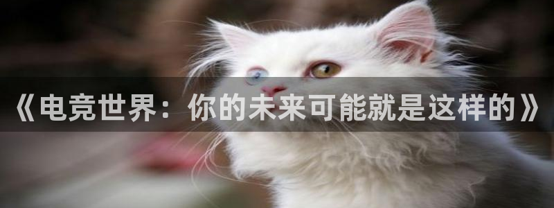 乐竞电竞,乐竞电竞首页