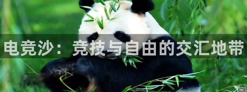 乐竞电竞平台app：电竞沙：竞技与自由的