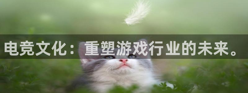 乐竞电竞馆加盟：电竞文化：重塑游戏行业的