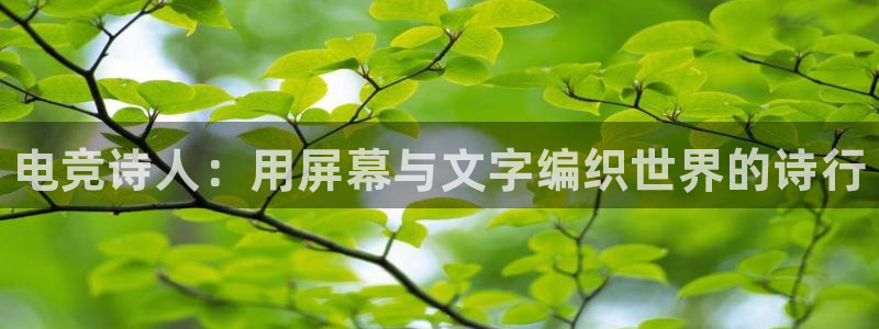 乐竞电竞入口app版：电竞诗人：用屏幕与