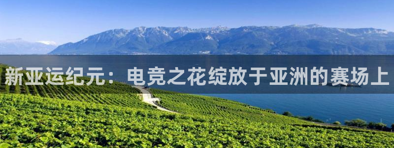 乐竞电竞网站是多少：新亚运纪元：电竞之花