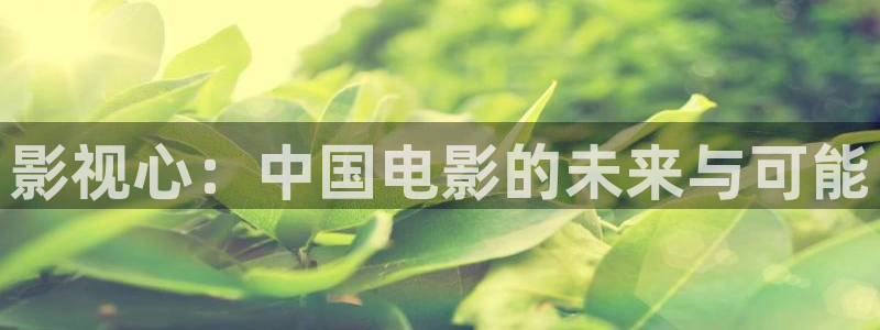 八戒电影免费观看大全影视：影视心：中国电影的未来与可能