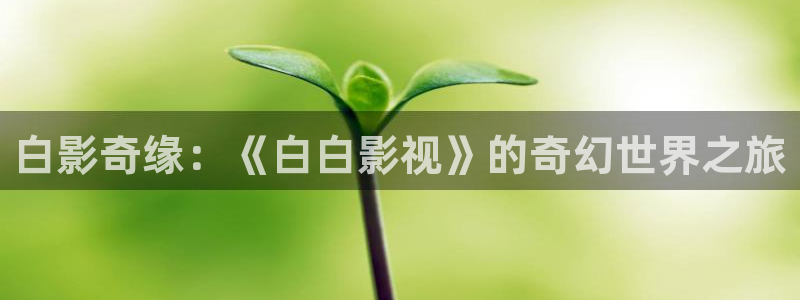 动漫大全影院：白影奇缘：《白白影视》的奇幻世界之旅