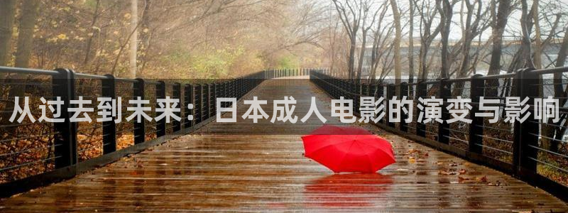 理论大全影院片理论片：从过去到未来：日本成人电影的演变与影响