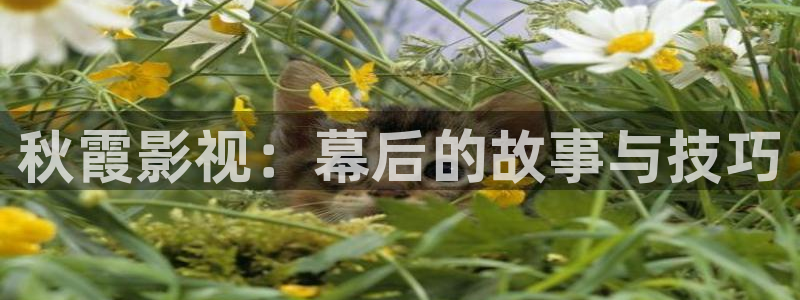 动漫大全影院：秋霞影视：幕后的故事与技巧