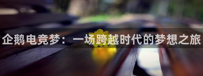 乐竞电竞和泛亚电竞有什么区别：企鹅电竞梦