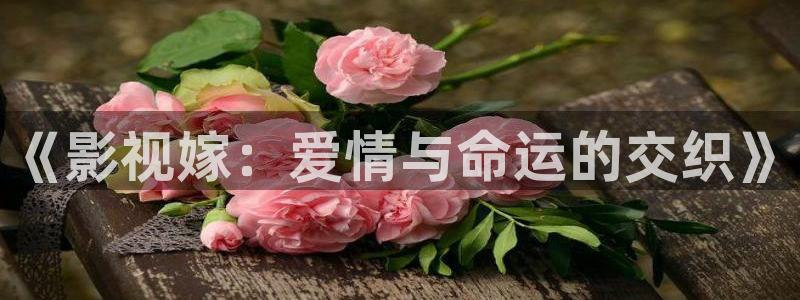 大全影院：《影视嫁：爱情与命运的交织》